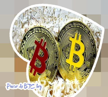 Btc acciones