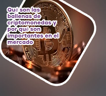 Fomo significado criptomonedas