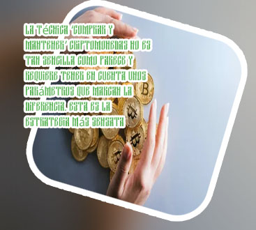 Libro invertir en criptomonedas