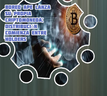 Que son los holders en criptomonedas