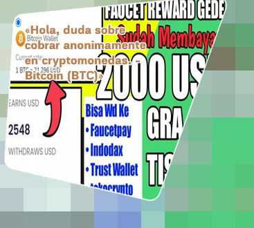 Web btc